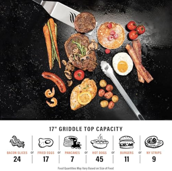 17 Portable Outdoor Griddle
